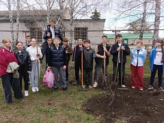 Жители Лысогорского района присоединились к общеобластному субботнику