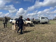 В заказнике «Центральный» разместили сделанные школьниками скворечники