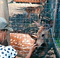 Лето в Новой Красавке: чем закончилась июньская смена в школьном лагере