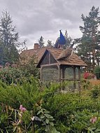 В Родославном Лысогорского района летают павлины