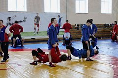 В Лысых Горах проходят учебно-тренировочные сборы по самбо