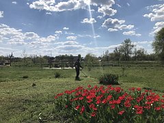 В Лысых Горах продолжаются субботники на объектах, которые были благоустроены благодаря федеральной программе «Формирование комфортной городской среды» национального проекта «Инфраструктура для жизни»