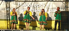 Культурно‑исторический форум «РОССИЯ. САРАТОВ. КУЛЬТУРА» в Лысых Горах завершился концертом под открытым небом