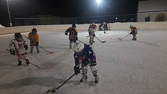 Хоккеисты «Подсолнуха» активно тренируются на свежем воздухе