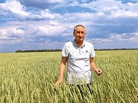 Из кабины комбайна: как в Невежкино проходит уборочная кампания