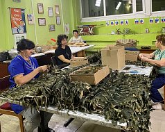 За каждым "Лешим" и "невидимкой" – доброе сердце волонтёра