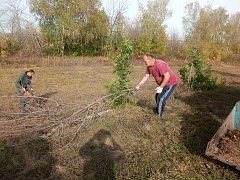 Жители Лысогорского района приняли участие в  общеобластном субботнике