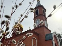 В храме Лысых Гор прошла праздничная служба