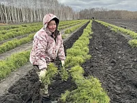 Директор лесхоза Ольга Фимушкина сообщила о старте весенней кампании по искусственному лесовосстановлению в Лысогорском районе.