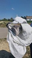 Раздольновцы помогли пострадавшей цапле