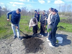 Лысогорские школьники присоединились к акции «Сад памяти»