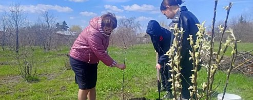 Лысогорские школьники присоединились к акции «Сад памяти»