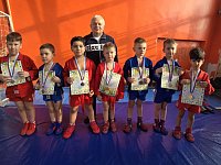 Самые маленькие лысогорские самбисты вновь пополнили копилку медалей района