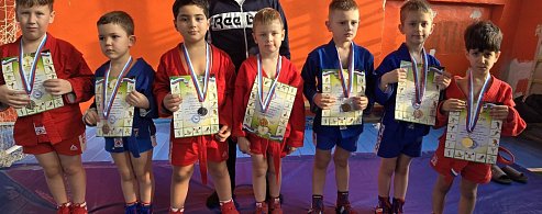 Самые маленькие лысогорские самбисты вновь пополнили копилку медалей района