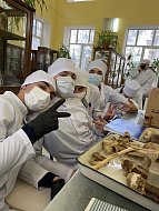 Будущие молодые специалисты  хотят работать в Лысых Горах