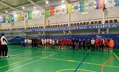 Школьники из Новой Красавки стали призёрами соревнований по бадминтону