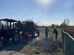 Школьники из Невежкино и Шереметьевки присоединились к экологической акции «Зеленый патруль»