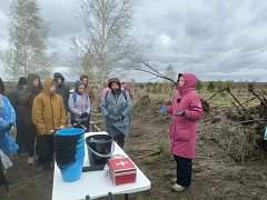 В Лысогорском районе прошла масштабная акция по восстановлению лесного массива