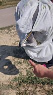 Раздольновцы помогли пострадавшей цапле