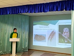 В Лысых Горах определили лучшие практики в дополнительном образовании