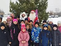 В центре села Бутырки поставили новогоднюю ёлку