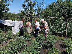 Ромашки, доброта и пример любви длиною в 50 лет