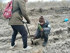 В Лысогорском районе прошла масштабная акция по восстановлению лесного массива