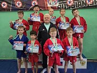 Лысогорские самбисты завоевали награды в Балашове