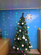 Детский сад "Радуга" превратился в новогоднюю сказку