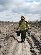 В Лысогорском районе прошла масштабная акция по восстановлению лесного массива