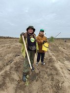 В Лысогорском районе высадили 4000 саженцев белой акации