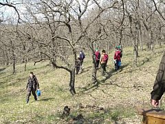 Экоактивисты Лысых Гор провели субботник на особо охраняемой природной территории