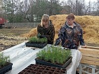 В лесах Саратовской области высадили почти 8,5 млн саженцев в рамках продолжающейся весенней кампании.