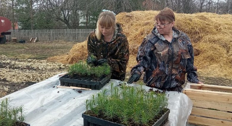В лесах Саратовской области высадили почти 8,5 млн саженцев в рамках продолжающейся весенней кампании.