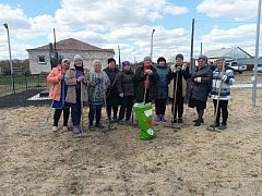 В Больших Копенах высадили 50 штук саженцев сосны и елей