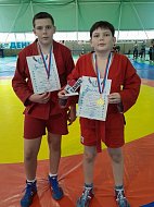 Лысогорские самбисты снова на пьедестале почёта