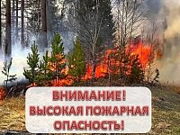 В области ограничивается пребывание граждан в лесах