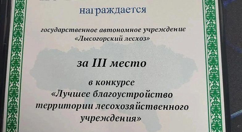 Лысогорский лесхоз стал бронзовым призёром конкурса «Лучшее благоустройство территории лесохозяйственного учреждения»