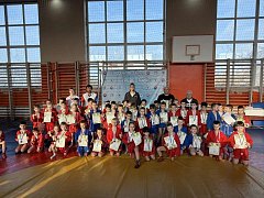 Самые маленькие лысогорские самбисты вновь пополнили копилку медалей района