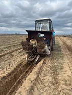 Директор лесхоза Ольга Фимушкина сообщила о старте весенней кампании по искусственному лесовосстановлению в Лысогорском районе.