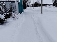 Как жители помогают бороться со снегом в Лысогорском районе