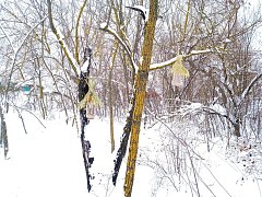 Сотрудники и волонтеры Лысогорского комплексного центра социального обслуживания организовали экологическую акцию «Доброта не знает границ – делаем кормушки для птиц!»