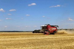 Золотая страда в КФХ Сергея Федосеева из поселка Яблочный