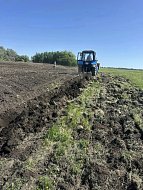 Вблизи поселка Октябрьский высадили почти 1000 деревьев