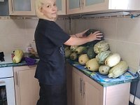 Волонтеры из Лысых Гор законсервировали 200 кг кабачков для участников СВО
