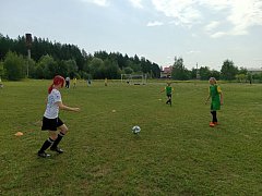 В Лысых Горах стартовал муниципальный этап открытого областного  турнира по футболу среди дворовых команд на Кубок губернатора Саратовской области 