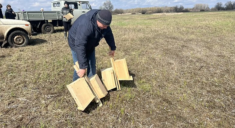 В заказнике «Центральный» разместили сделанные школьниками скворечники