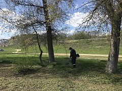 В Лысых Горах продолжаются субботники на объектах, которые были благоустроены благодаря федеральной программе «Формирование комфортной городской среды» национального проекта «Инфраструктура для жизни»