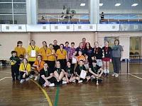 В Лысых Горах состоялся открытый районный турнир по волейболу среди женских команд