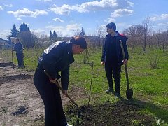Лысогорские школьники присоединились к акции «Сад памяти»